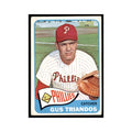 1965 Topps (damaged) Gus Triandos Baseball Cards #248