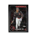 Lourdes Gurriel Jr. 2024 Topps Chrome #59 Arizona Diamondbacks Baseball Card NM