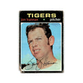 Jim Hannan 1971 Topps #229 Detroit Tigers Baseball Card Poor