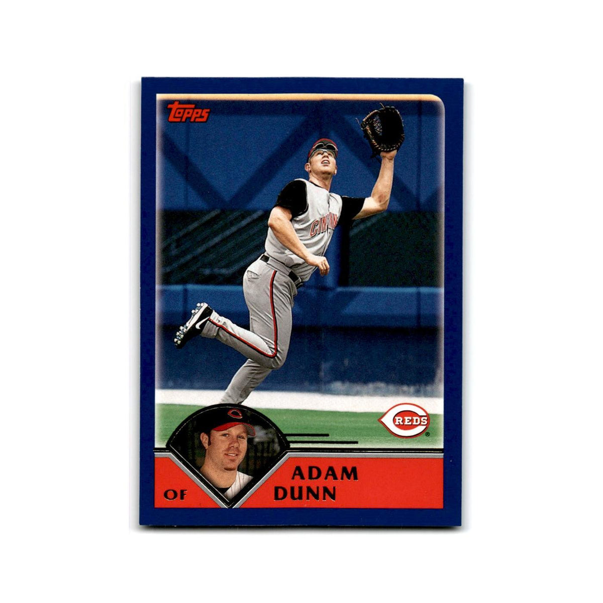 Adam Dunn 2003 Topps #177 Cincinnati Reds Baseball Card NM