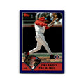 Orlando Palmeiro 2003 Topps #83 Anaheim Angels Baseball Card NM