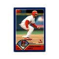 Fernando Vina 2003 Topps #223 St. Louis Cardinals Baseball Card NM