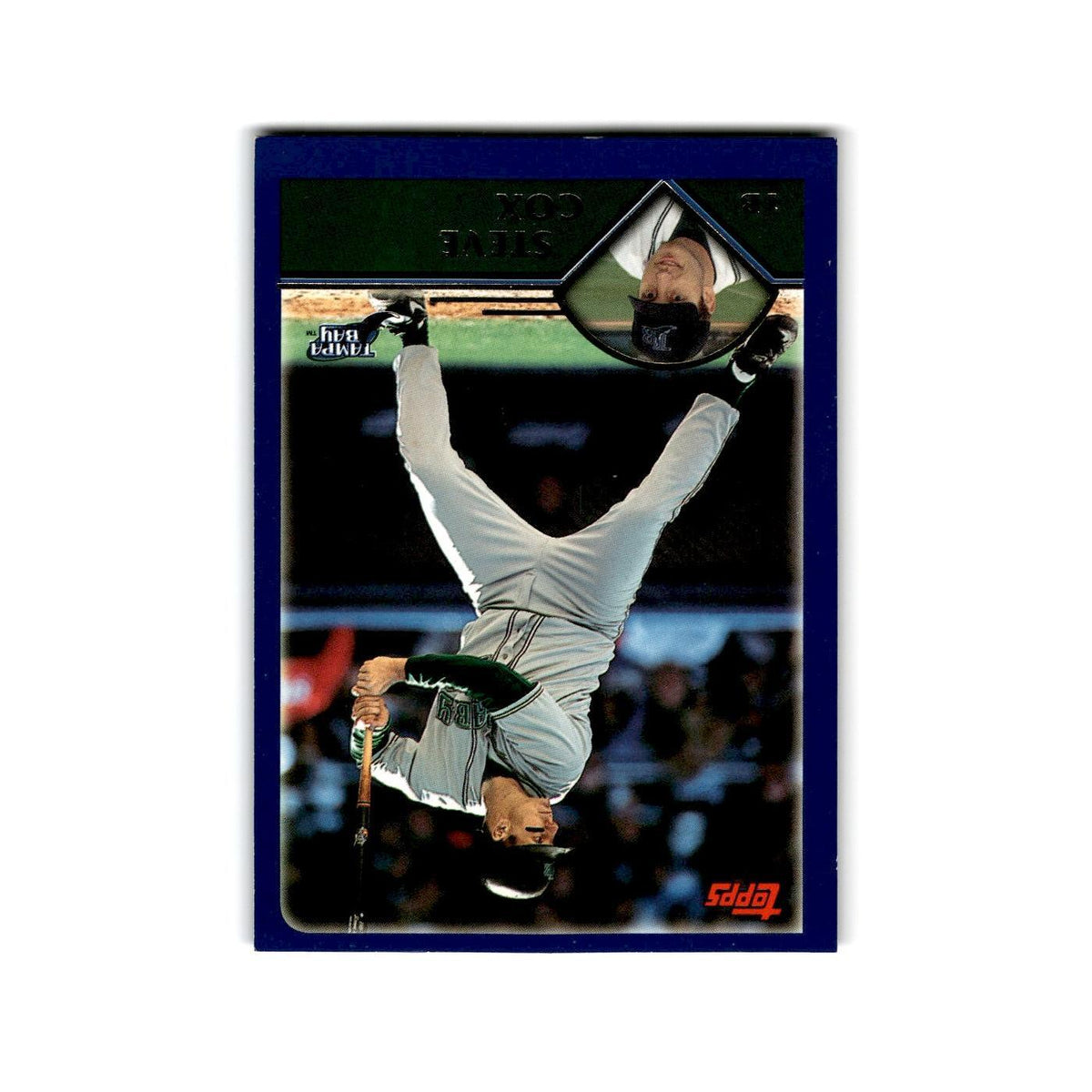 Steve Cox 2003 Topps #101 Tampa Bay Devil Rays Baseball Card NM
