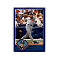 Shawn Green 2003 Topps #110 Los Angeles Dodgers Baseball Card NM