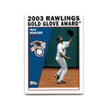 Torii Hunter 2004 Topps #704 Minnesota Twins Baseball Card NM