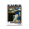 Ramon E. Martinez 2004 Topps #455 Chicago Cubs Baseball Card NM