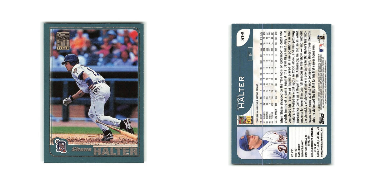 Shane Halter 2001 Topps #314 Detroit Tigers Baseball Card NM
