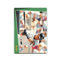 Rob Deer 1993 Score Select #186 Detroit Tigers Baseball Card NM