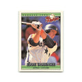 Eddie Taubensee Rookie 1992 Donruss The Rookies #115 Houston Astros NM