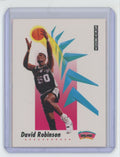1991-92 SkyBox David Robinson Basketball Card San Antonio Spurs #261