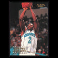 Larry Johnson #11 1996 Fleer Charlotte Hornets Basketball Card NBA NM