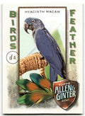 2021 Topps Allen & Ginter Hyacinth Macaw Baseball Cards #BOF-6
