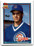 1991 Topps Baseball Card Shawn Boskie Chicago Cubs #254