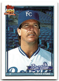 1991 Topps Baseball Card Steve Farr Kansas City Royals #301