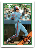 1988 Topps Baseball Card Reid Nichols Montreal Expos #748
