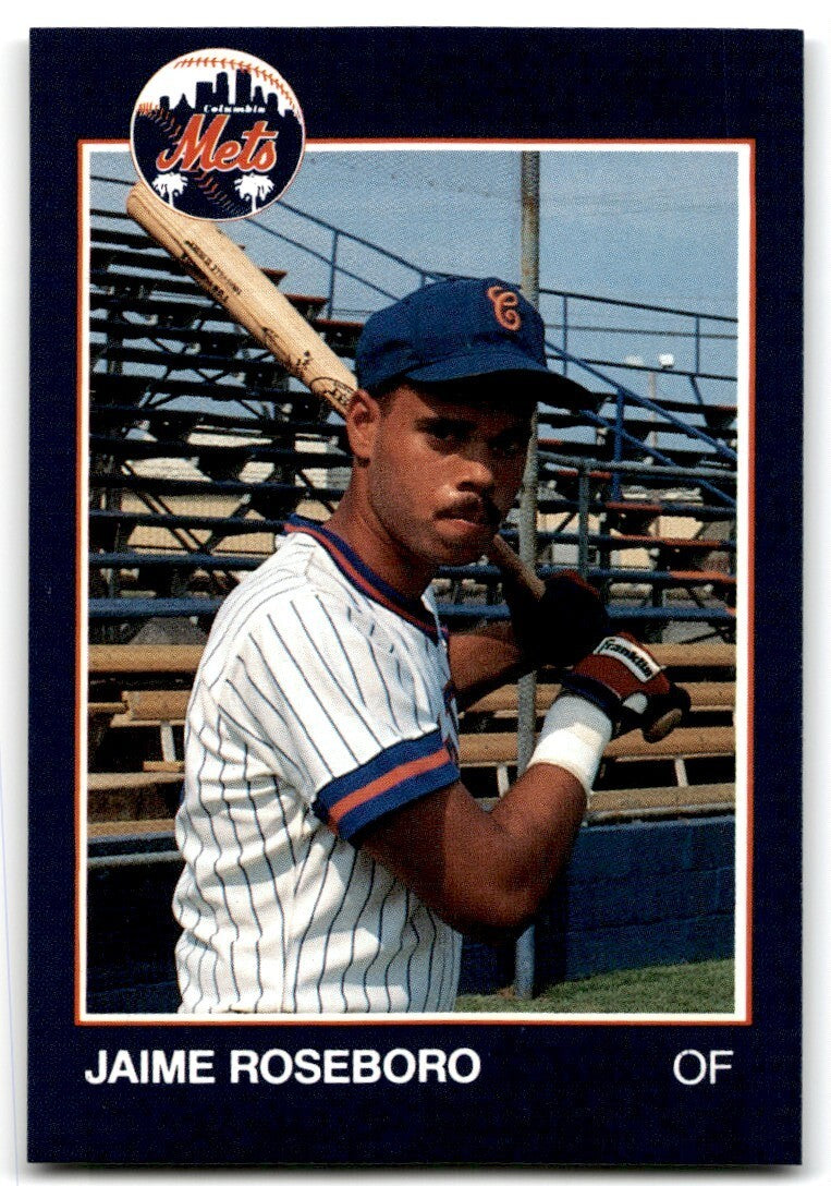 1988 Grand Slam Baseball Card Jaime Roseboro c Columbia Mets #24