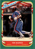 1987 Fleer Star Stickers Tim Raines . Montreal Expos #94