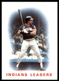 1986 Topps Baseball Card Indians Leaders (Andre Thornton) Cleveland Indians #336