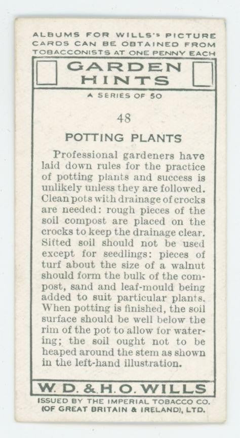 1923 Wills's Cigarettes Garden Hints Potting Plants #48