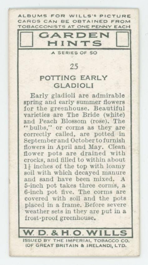 1923 Wills's Cigarettes Garden Hints Potting Early Gladioli #25