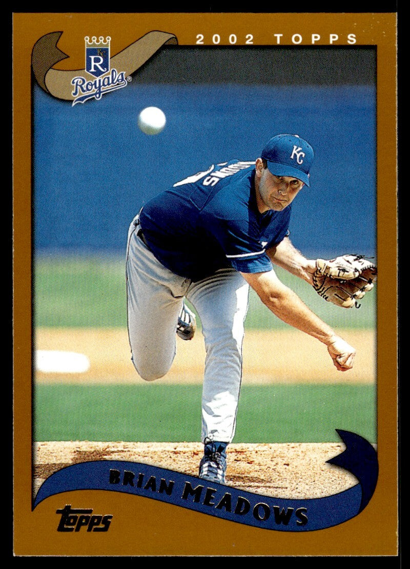 2002 Topps Baseball Card Brian Meadows Kansas City Royals #53