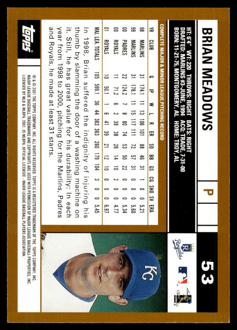 2002 Topps Baseball Card Brian Meadows AA Kansas City Royals #53