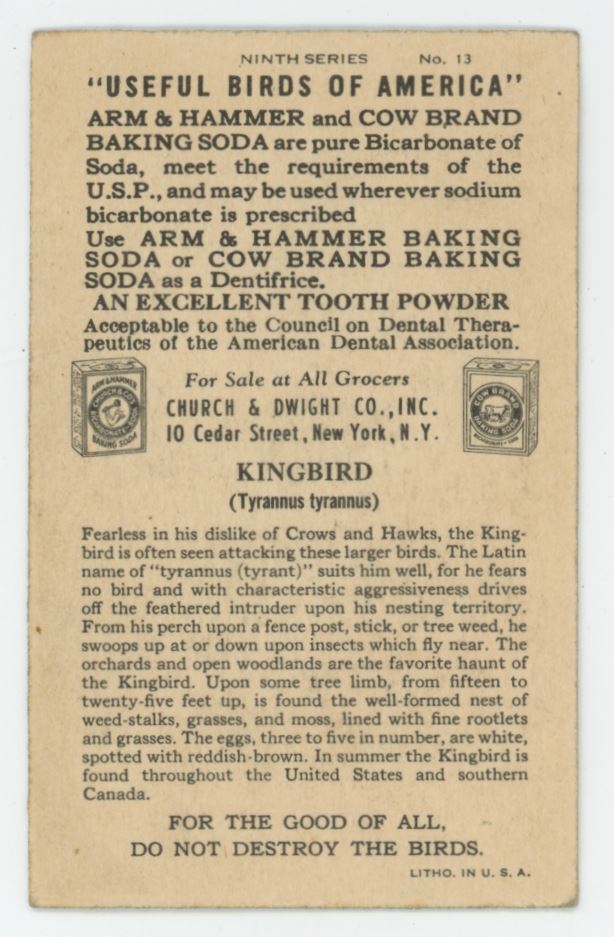 1936 Church & Dwight Useful Birds of America Card Kingbird #13