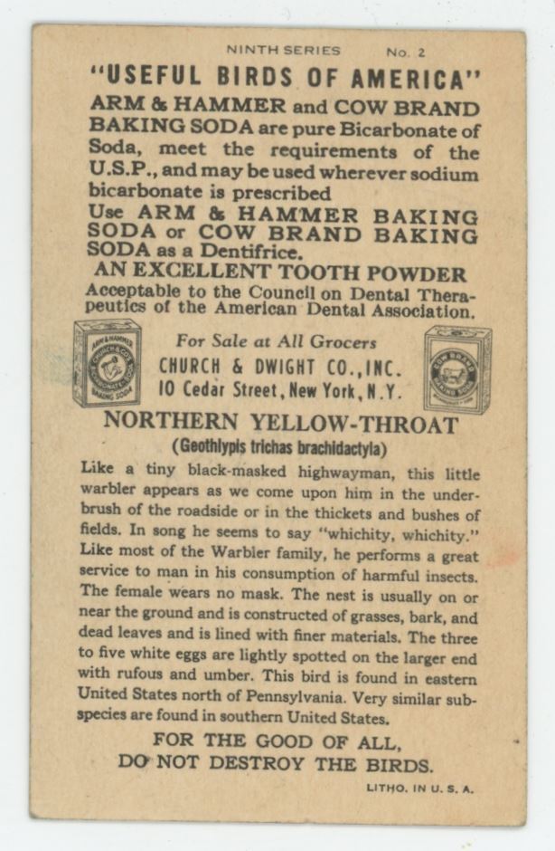 1936 Church & Dwight Useful Birds of America Card Northern Yellow-Throat #2