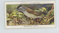 1937 Player's Cigarettes Tobacco Card Blackcap (M) Birds & Their Young #1