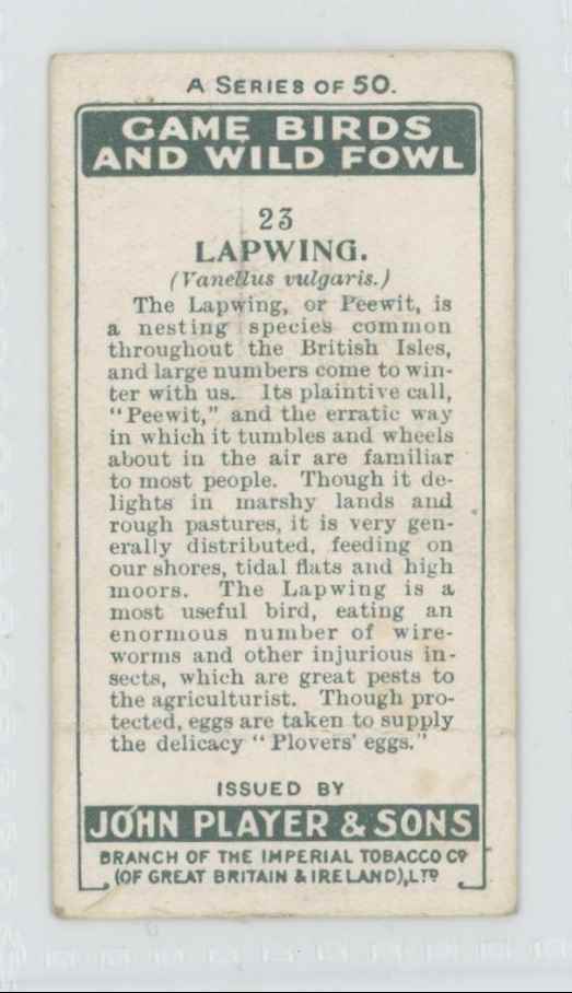 1927 Player's Cigarettes Tobacco Card Lapwing Game Birds Water Fowl #23