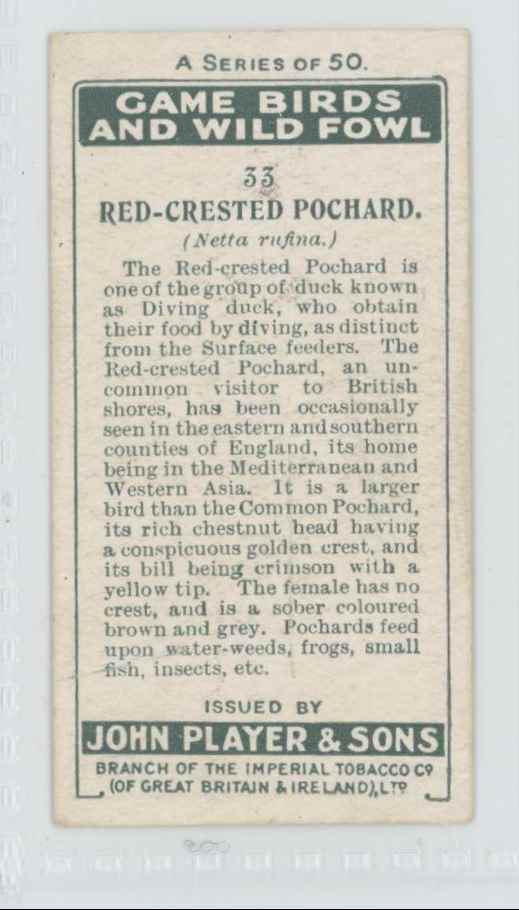 1927 Player's Cigarettes Tobacco Card Red-Crested Pochard Game Birds Water Fowl