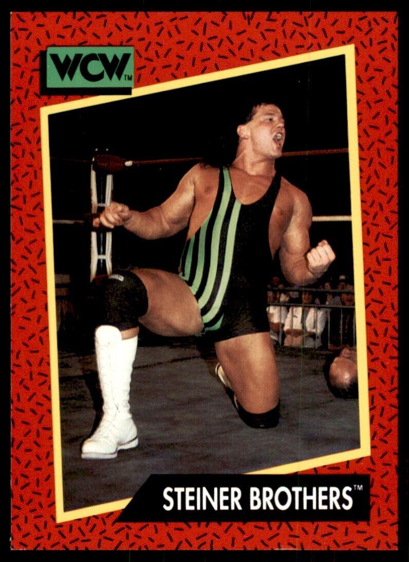 1991 IMPEL WCW STEINER BROTHERS #113