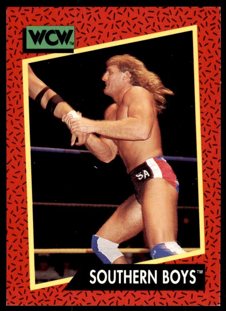 1991 IMPEL WCW SOUTHERN BOYS #129