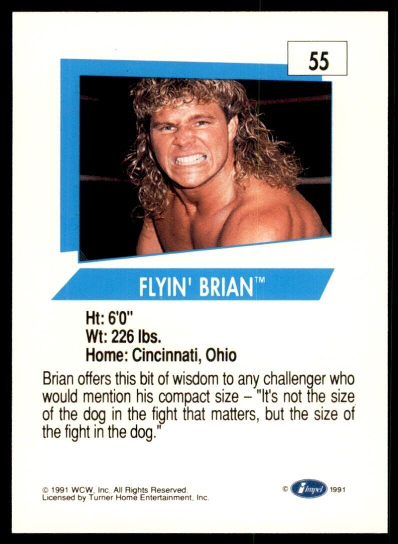 1991 IMPEL WCW FLYIN' BRIAN #55