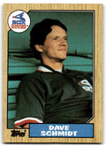 1987 Topps Dave Schmidt a Chicago White Sox #703