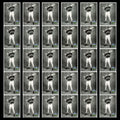 Frank Thomas Lot 30 Baseball Cards 1992 Score Dream Team Chicago White Sox Set