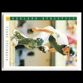 Terry Steinbach #626 1993 Score Oakland Athletics Baseball Card MLB NM