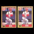 Pete Rose Lot 2 Baseball Cards 1987 Topps Cincinnati Reds Set Collection MLB NM