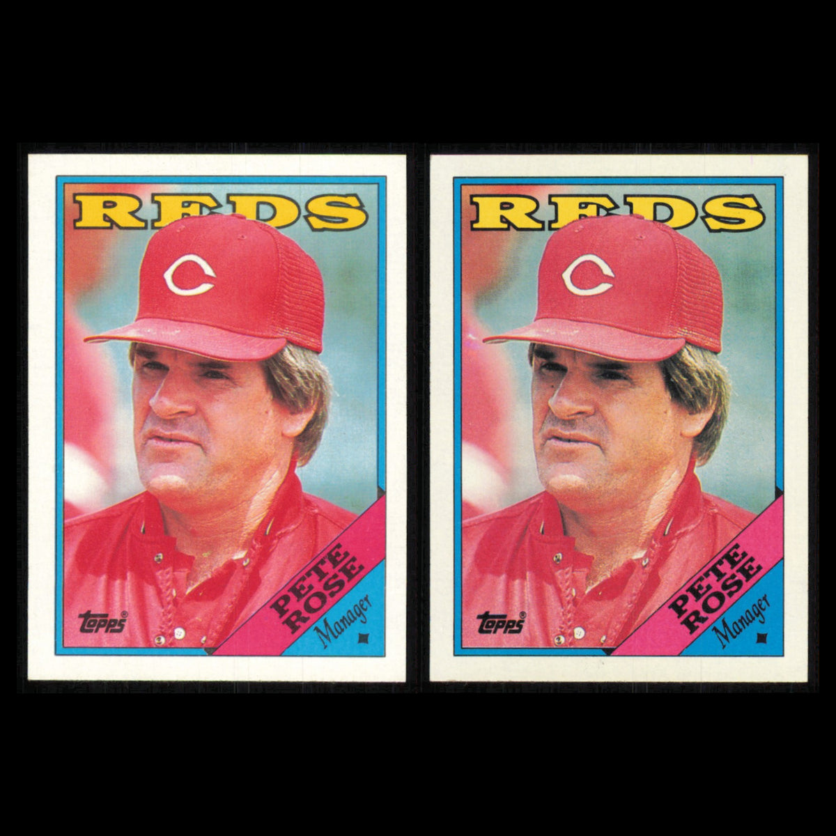 Pete Rose Lot 2 Baseball Cards 1988 Topps Cincinnati Reds Set Collection MLB NM