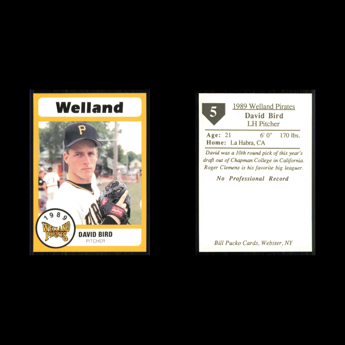 David Bird #5 1989 Bill Pucko Welland Pirates Baseball Card MLB NM
