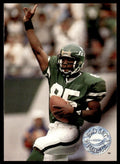 1991 Pro Set Platinum Football Card Rob Moore New York Jets #246