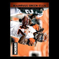 BenJarvus Green-Ellis #40 2012 Panini Gridiron Cincinnati Bengals Football Card