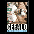 Jimmy Cefalo #307 1985 Topps Miami Dolphins Football Card NFL NM