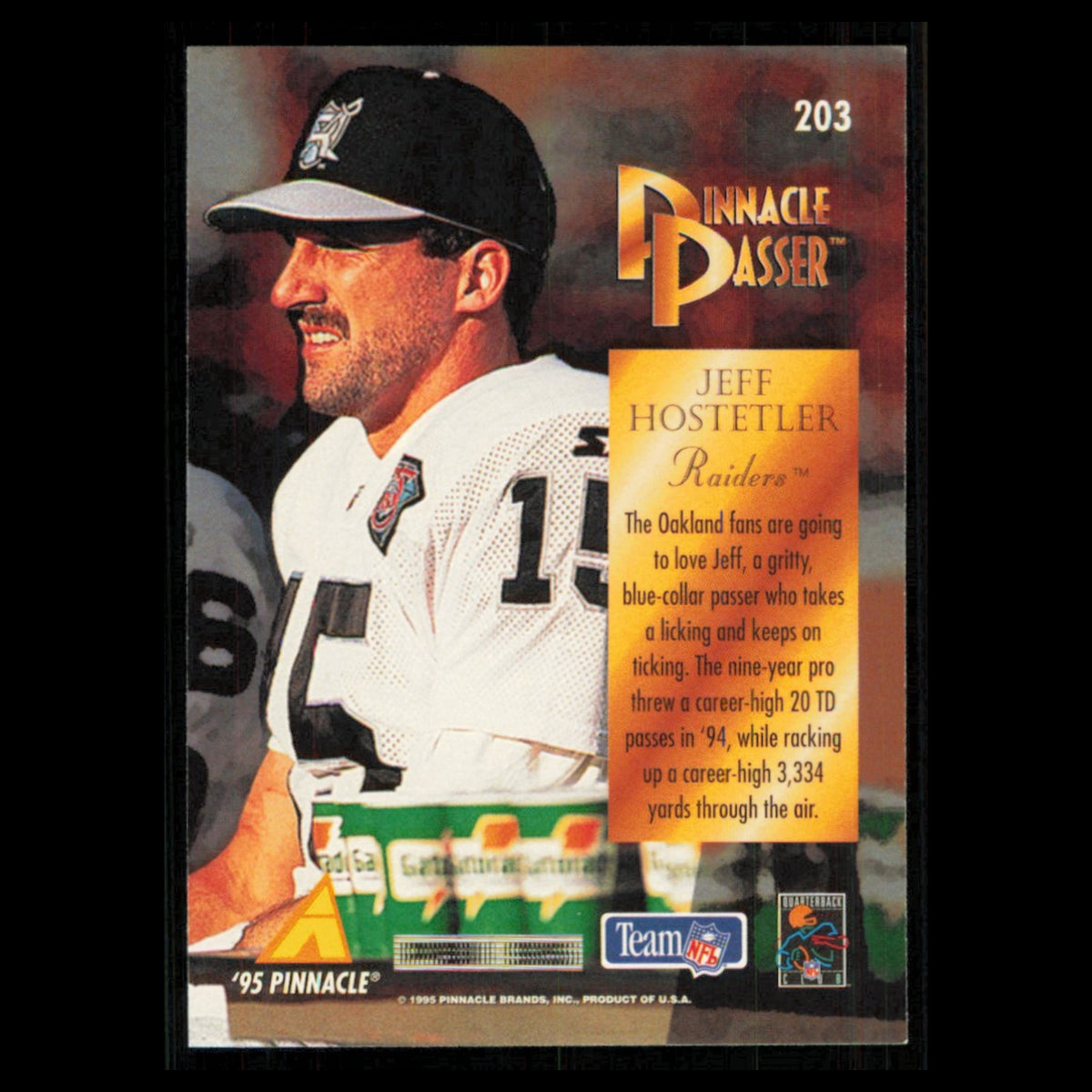 Jeff Hostetler #203 1995 Pinnacle Oakland Raiders Football Card NFL NM