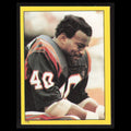 Charles Alexander #179 1982 Topps Stickers Cincinnati Bengals Football Card NFL