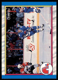 1989-90 O-Pee-Chee Quebec Nordiques . Quebec Nordiques #313