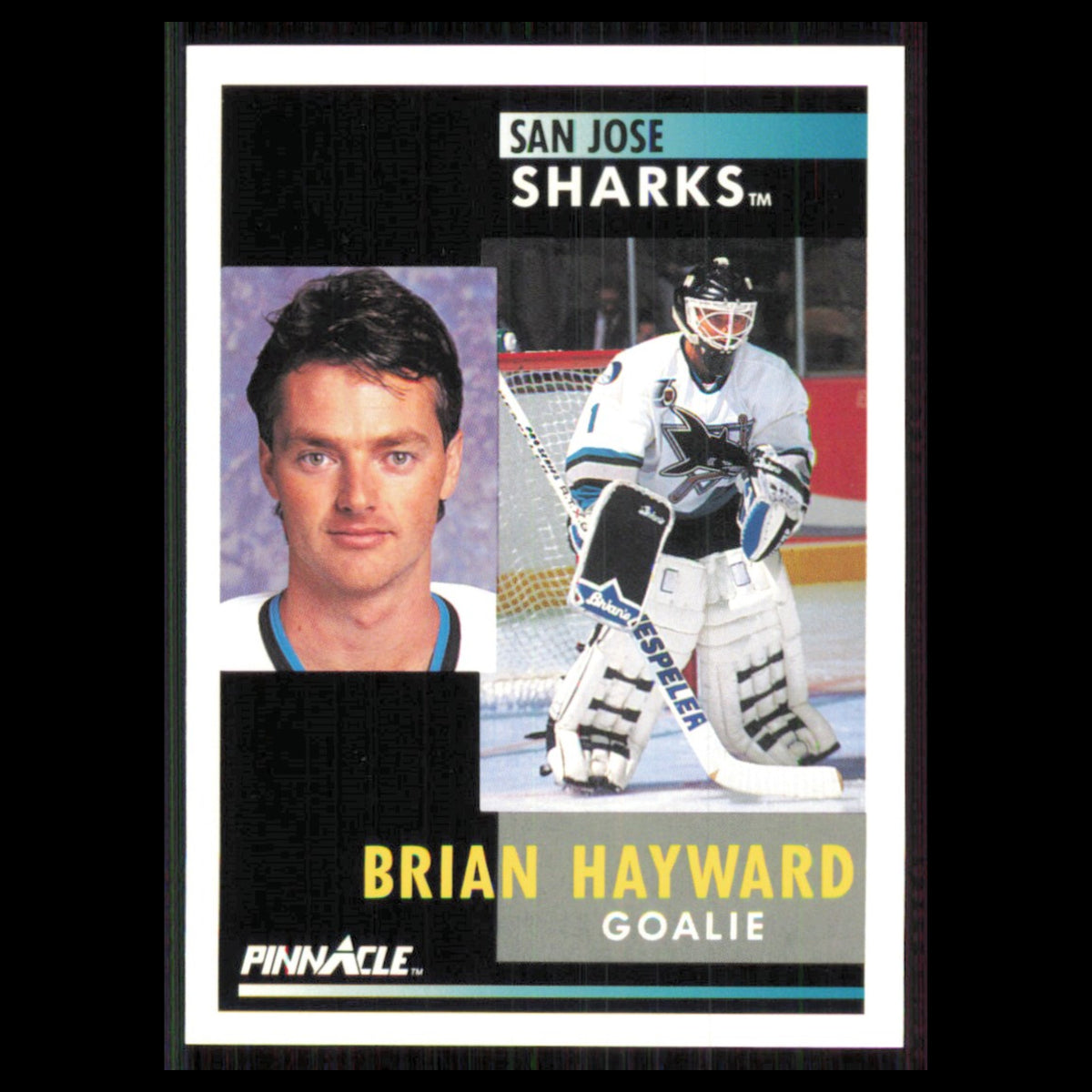 Brian Hayward #83 1991 Pinnacle San Jose Sharks Hockey Card NHL NM