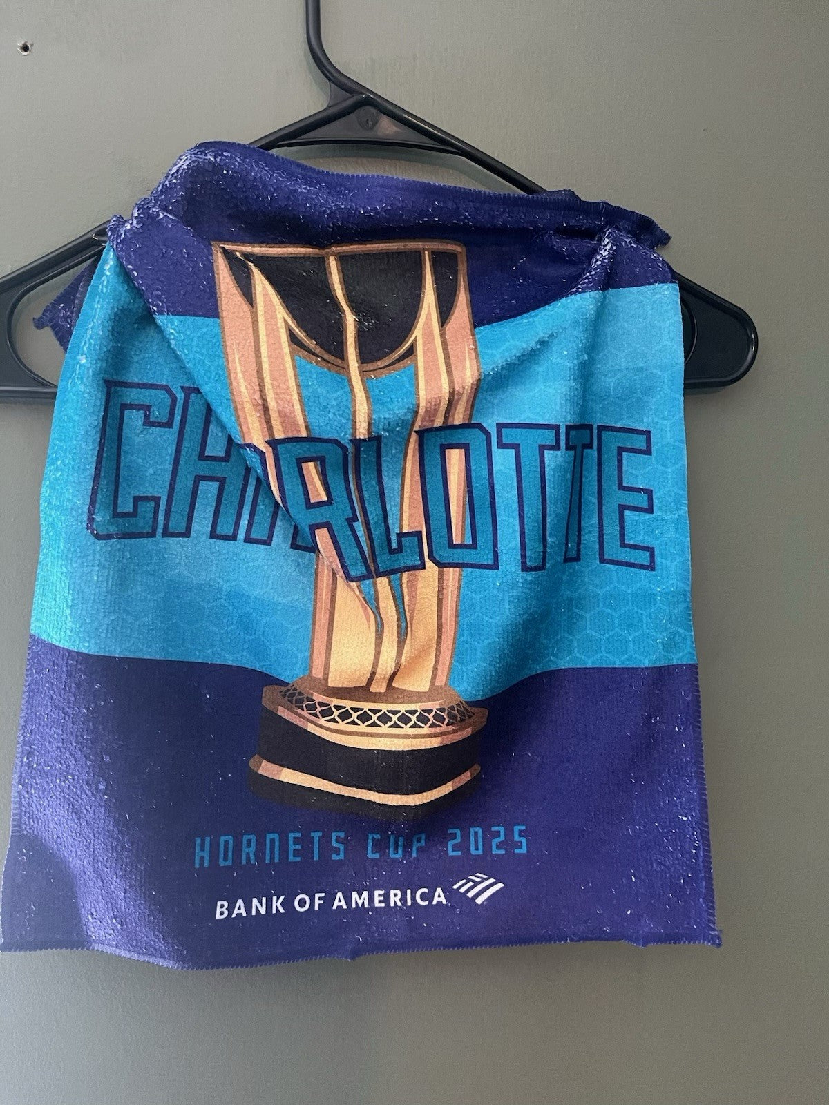 Charlotte Hornets The Hive Is Alive/Cup Towel