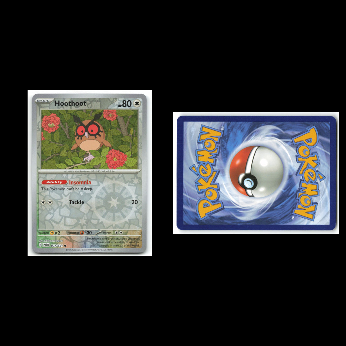 Hoothoot #77 2025 Scarlet - Violet Series - Prismatic Evolutions Common Pokemon