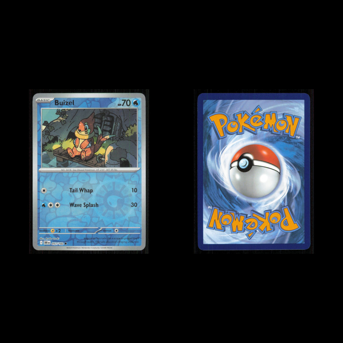 Buizel #57 2025 Scarlet - Violet Series - Destined Rivals Common Pokemon Card NM